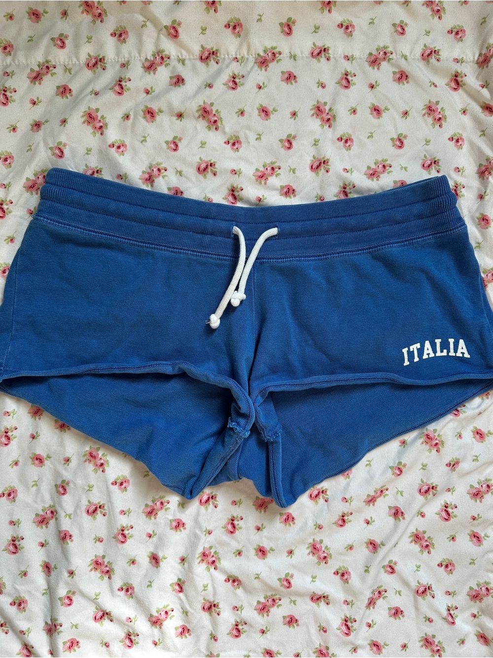 Brandy Melville Blue 'Italia' Lounge Shorts